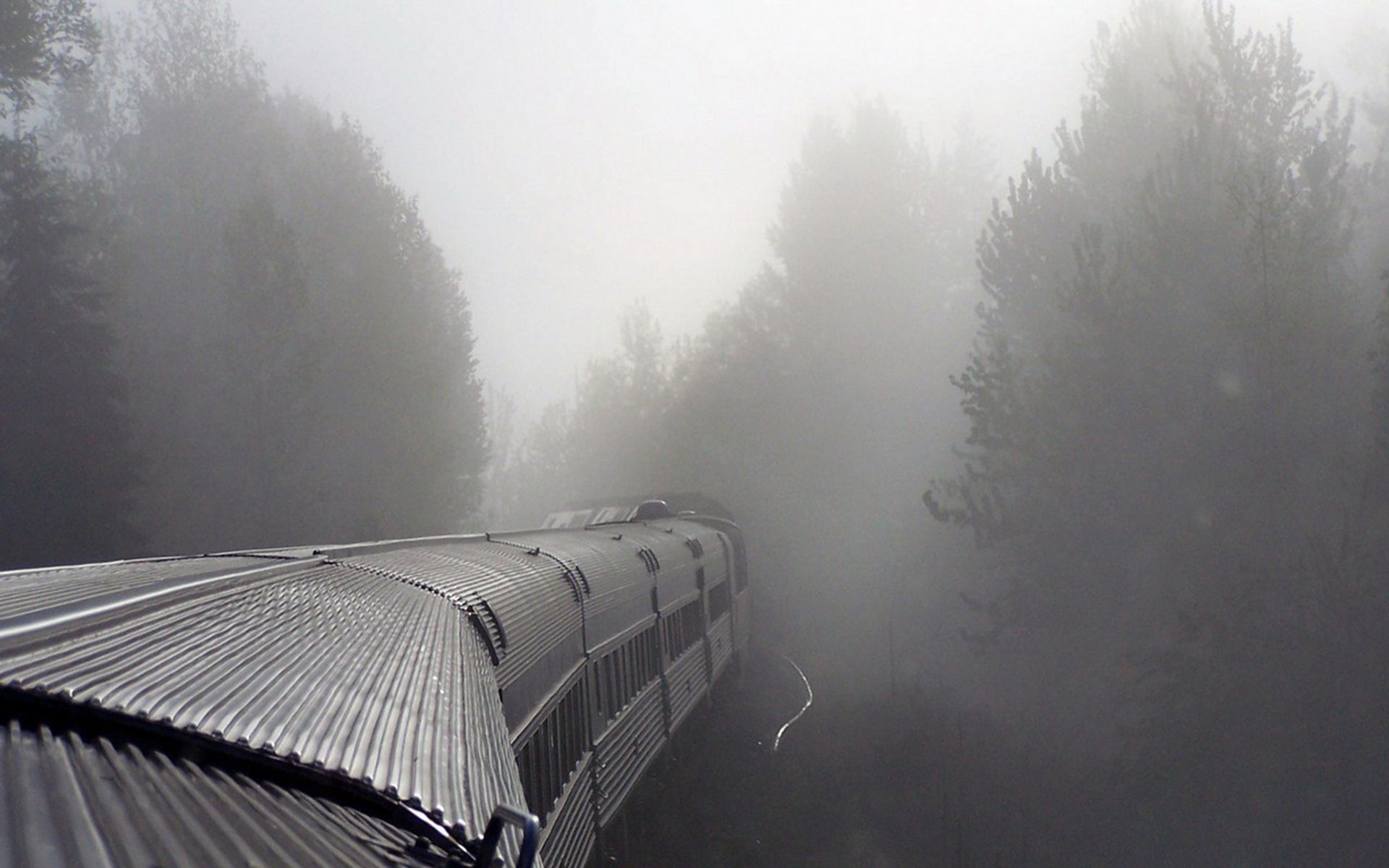 nebel zug wagen