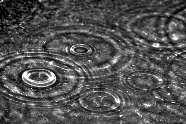 Macro gouttes de pluie fond d écran