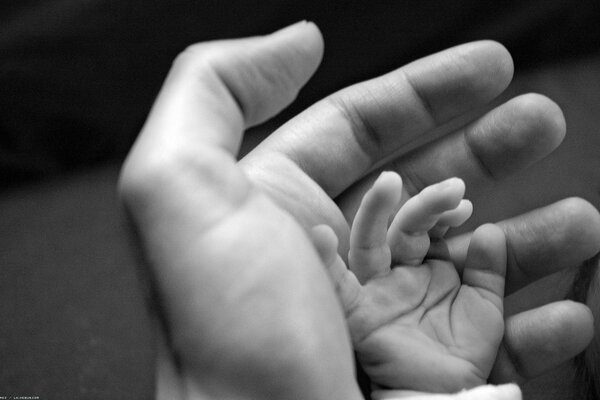 Die Hand des Babys liegt in der Hand des Vaters