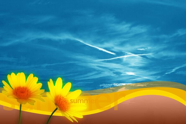 In summer, beautiful yellow flowers on a blue background