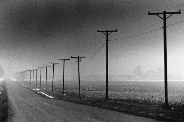 Pali grigi con fili si estendono in lontananza nella nebbia