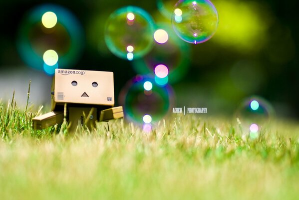 Danbo in the grass and soap bubbles