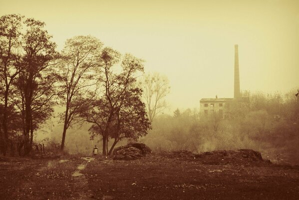 Stadt im Herbst , Nebel , keine Sonne