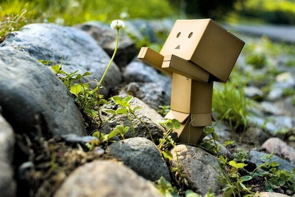 Danbo descubre la increíble naturaleza