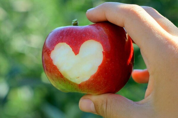 A man holds an apple with a heart carved on it