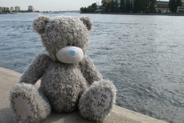 Мишка Тедди сидит на набережной реки