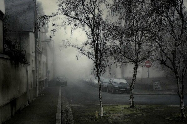 La niebla se arrastra sobre los coches y árboles de pie en el patio