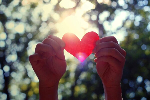 San Valentín en las manos a la luz del sol