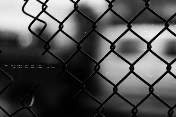 Foto en blanco y negro de la valla resquebrajada