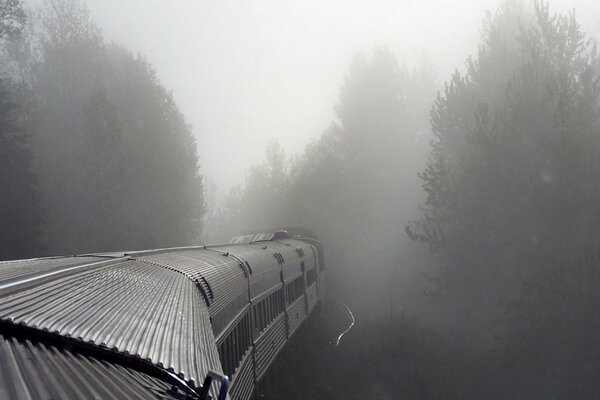 Tren monta en el bosque de niebla