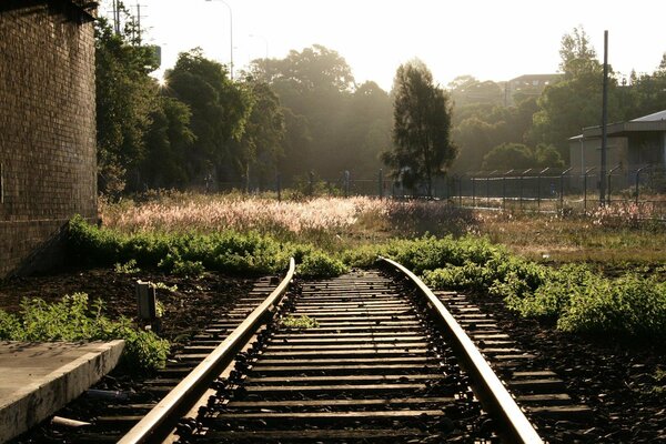 Rails going into the green grass