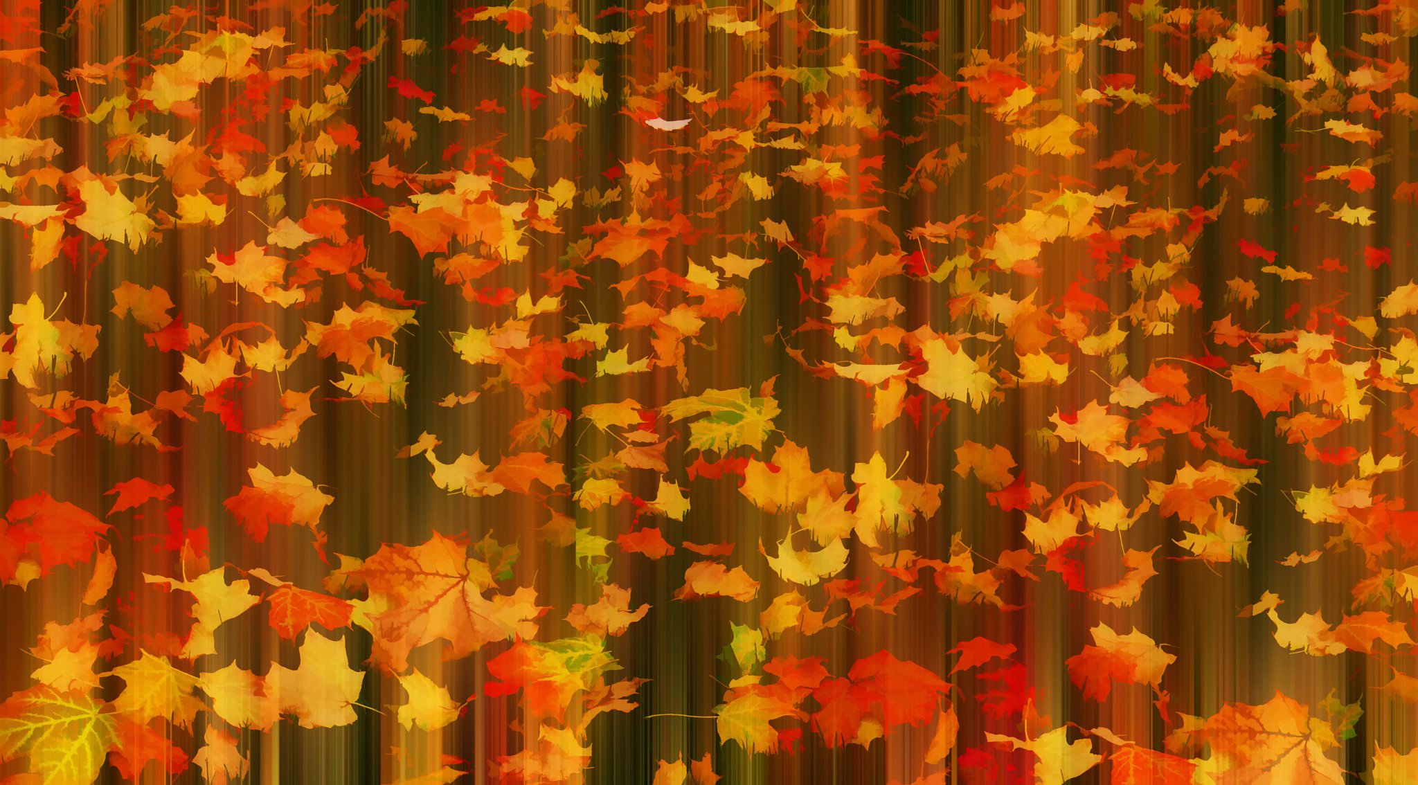 automne en mouvement ❖ feuilles automne