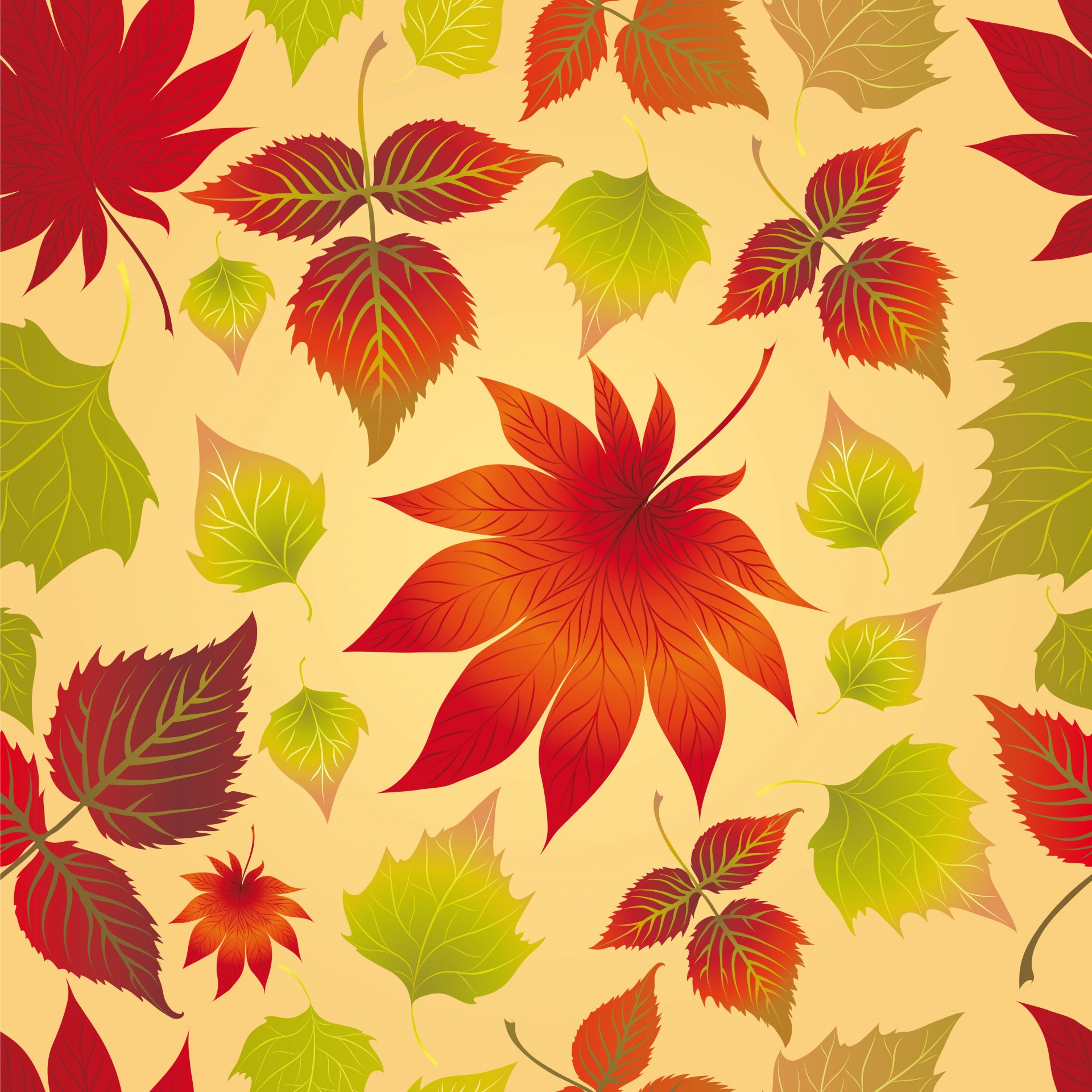 autumn leaves maple autumn background