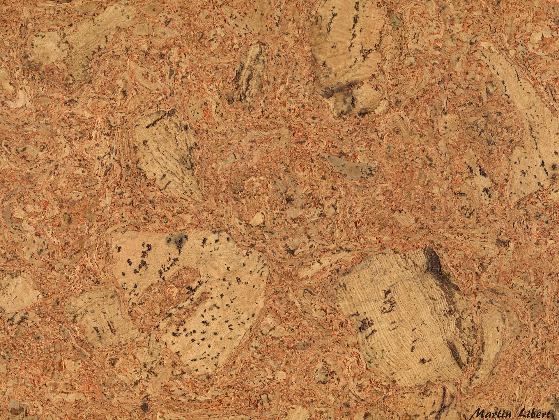 textures plug background tree bark