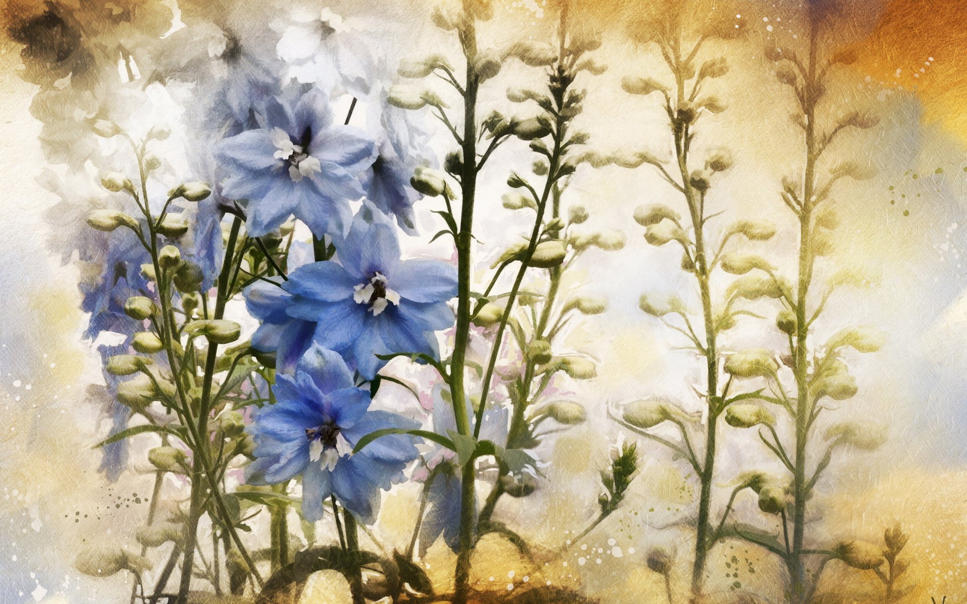 textures background flower