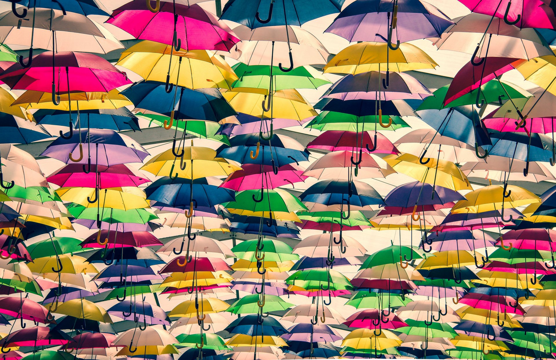 parapluies multicolore beaucoup fond