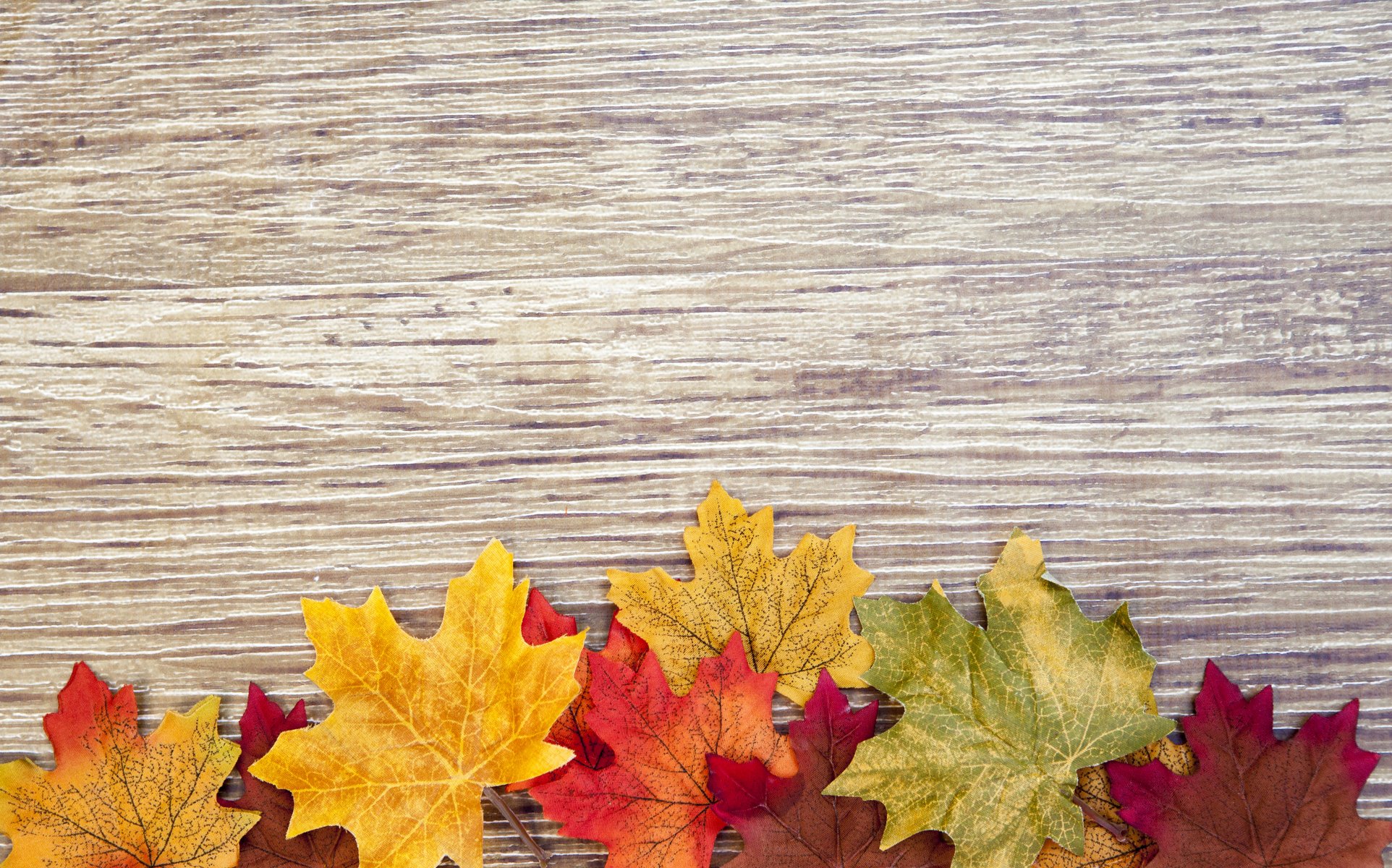 autumn leaves colorful wood textures autumn leave