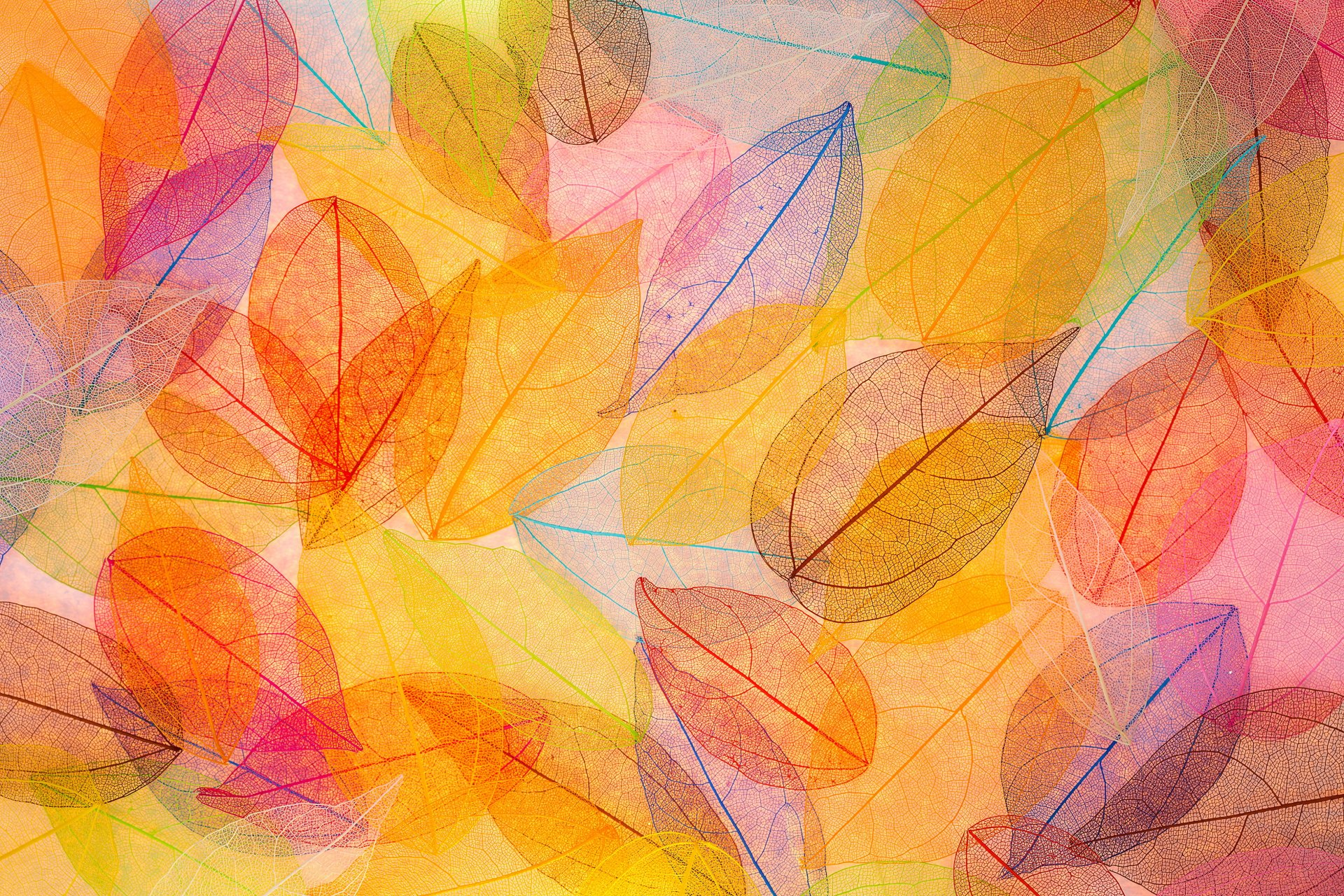 otoño hojas transparente abstracto colorido otoño fondo