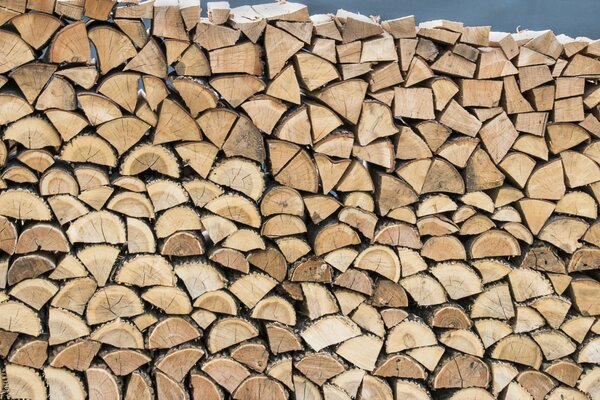 Neatly stacked woodpile along the wall