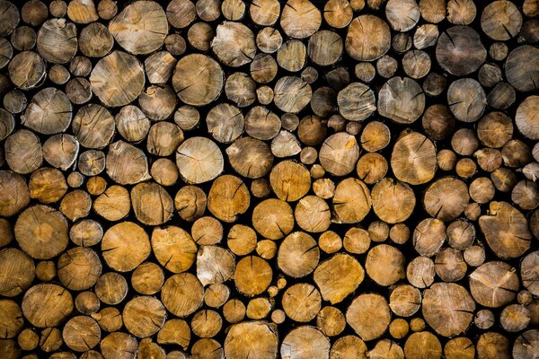 Sections of logs tightly folded