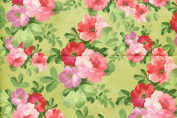 Ornement floral Vintage sur papier peint