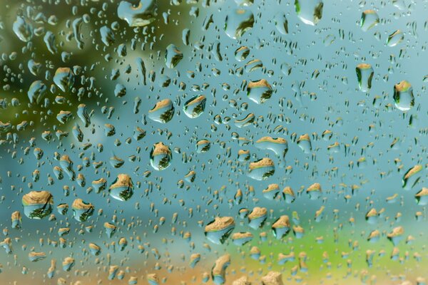 Foto des Tages, Tropfen auf Glas