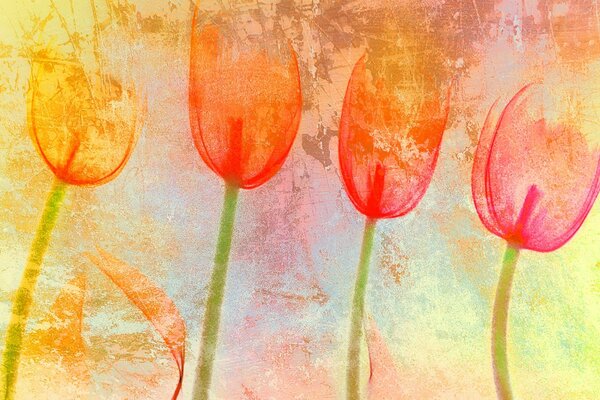 Textur in Form von Tulpe Farbe Stimmung