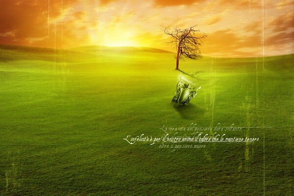 Art of a tree on a green and fiery background