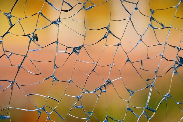 Ein ungewöhnliches blaues Spinnennetz aus gebrochenem Glas