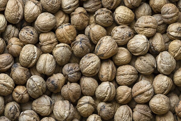 Background texture of nuts