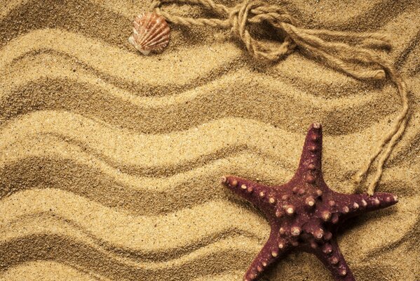 Différentes formes de texture de sable