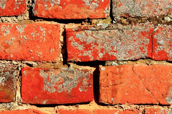 Textured red brick wall