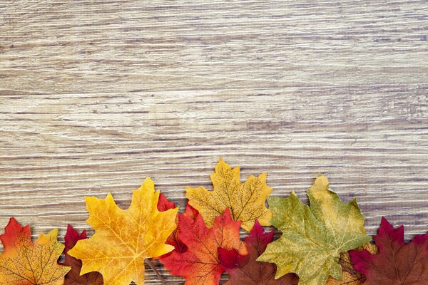 Maple leaves on wood texture