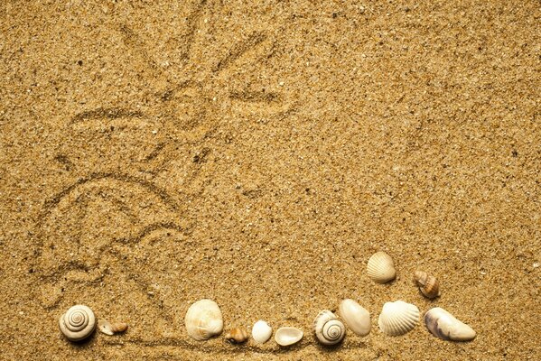 Soleil dessiné sur le sable et les coquillages