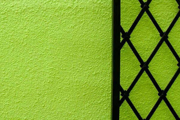 Mur vert avec porte noire