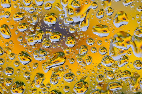 Yellowish phot in the form of drops