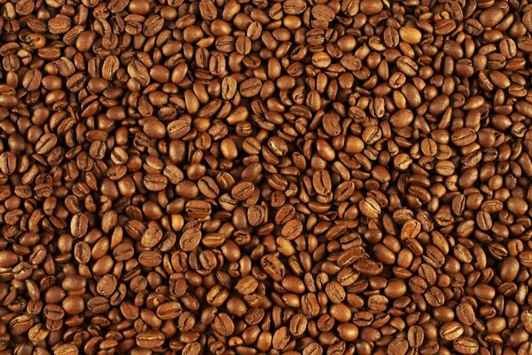 Modèle où beaucoup de grains de café