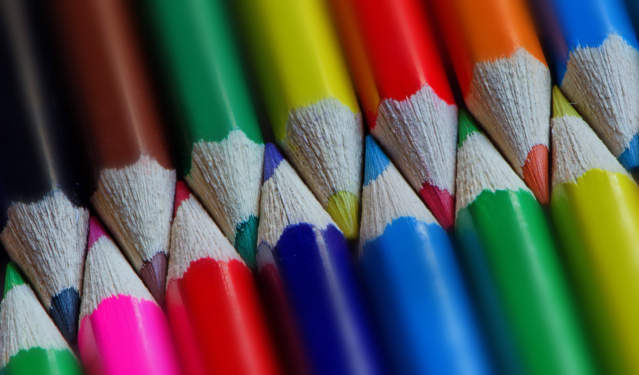 crayons flowers close up