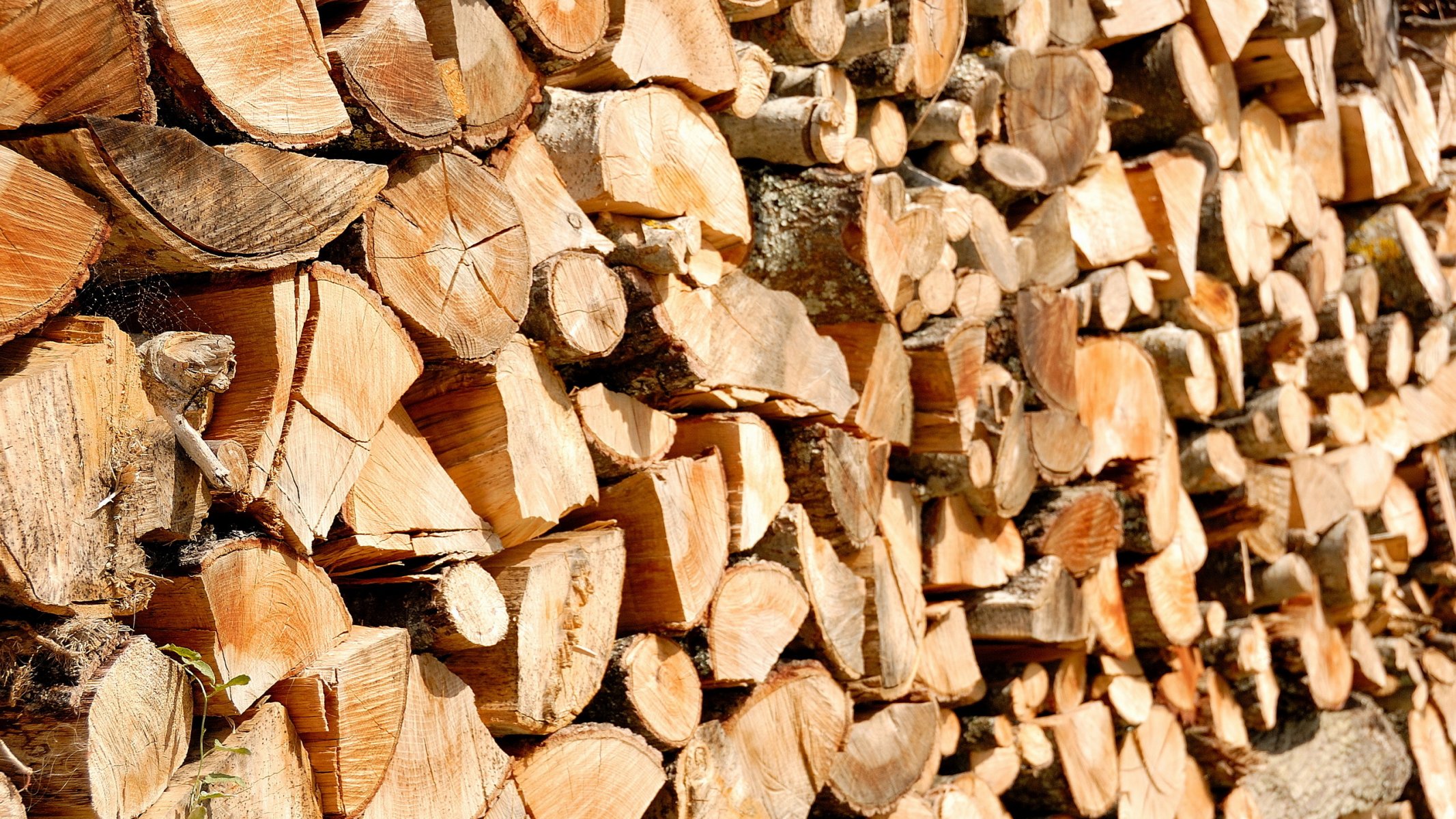 firewood close up background