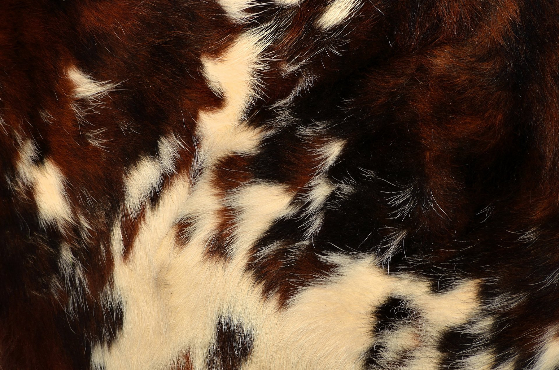 fur wool textures hide