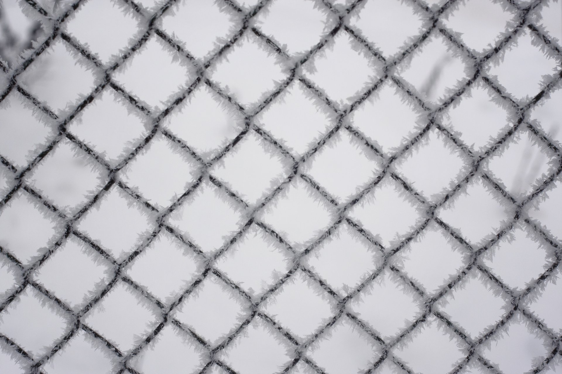 wire fence net winter iny