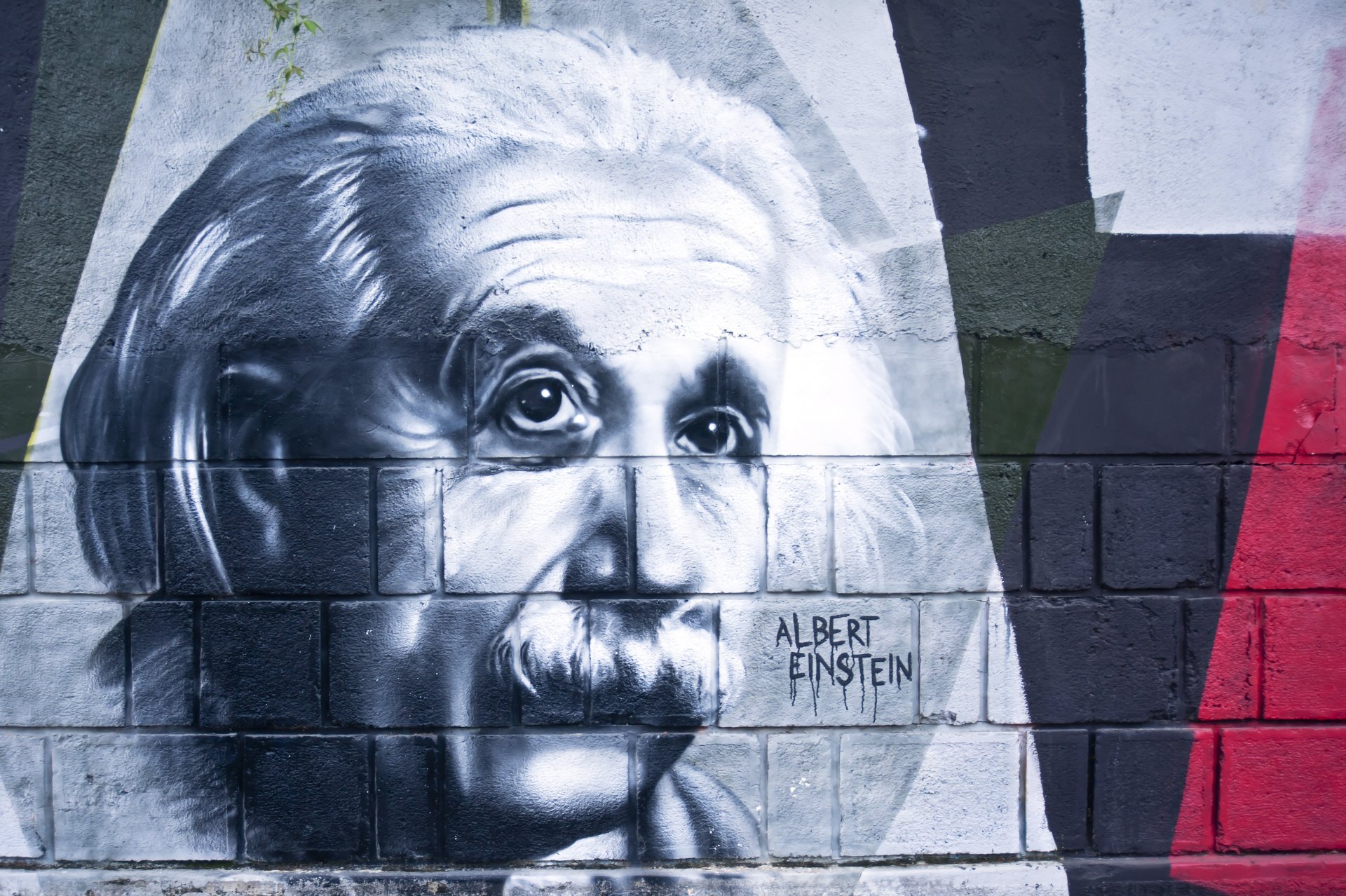 albert einstein muro modello