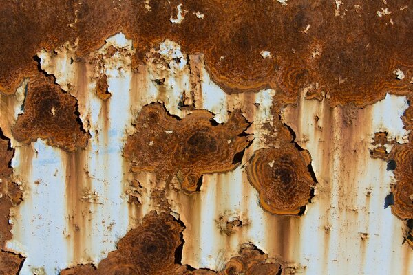 Background with a metal rusty wall