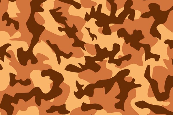 Camouflage coloring for soldiers in the army