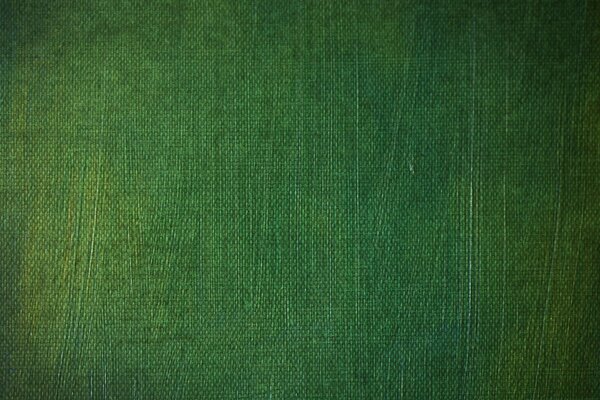 Texture textile vert