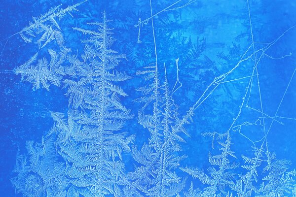 Motif d hiver de givre sur la fenêtre