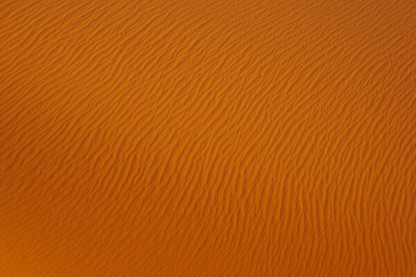 Velvety sandy texture of the desert