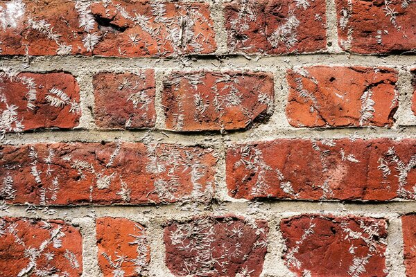 Brick wall , Art Nouveau style