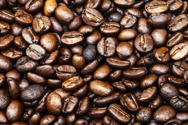 Stylish background with coffee beans