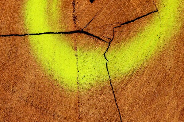 Sfondo di texture di legno con cerchio giallo